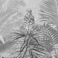 Petromila vidaXL Komar Fototapeta Amazonia čierno-biela 400x250 cm