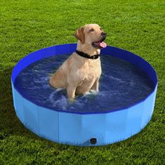 Sofistar Skladací bazén pre psov