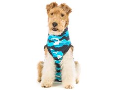 Suitical Pooperačné ochranné oblečenie pre psa modré 22 - 35cm