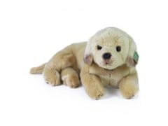 Rappa Plyšový pes labrador ležiaci 38 cm