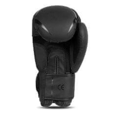 DBX BUSHIDO boxerské rukavice B-2v22 veľkosť 16 oz