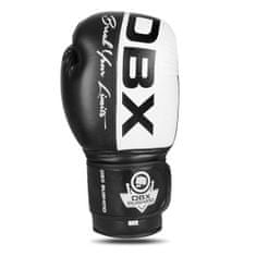 DBX BUSHIDO boxerské rukavice B-2v20 veľkosť 10 oz