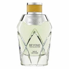 Beyond The Collection Wild Vetiver - EDP 100 ml
