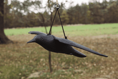 Bradas Letiaci havran - strašiak vtákov a hlodavcov