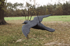 Bradas Letiaci havran - strašiak vtákov a hlodavcov