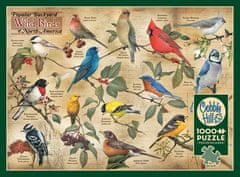 Cobble Hill Puzzle Vtáky zo severoamerických záhrad 1000 dielikov