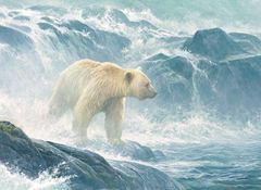 Cobble Hill Puzzle Číhanie na lososy - Ľadový medveď 500 dielikov
