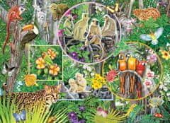 Cobble Hill Rodinné puzzle Kúzlo pralesa 350 dielikov
