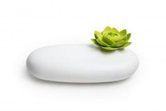 Qualy Multifunkčné púzdro Lotus Pebble Box, biele-zelené