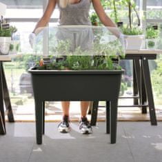 botle Miniskleník s ventiláciou s vekom kvetináč Pestovanie sadeníc zeleniny Antracit