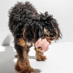 Decor By Glassor Gumová hračka pre psíkov granát ružový