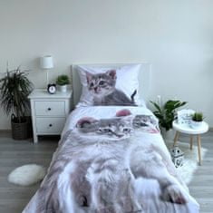 Jerry Fabrics Obliečky fototlač Kitten grey 140x200, 70x90 cm