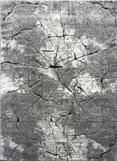 Berfin Dywany Kusový koberec Miami 129 Grey 60x100