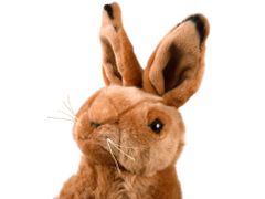 Beppe Maskot Sediaci králik plyšový 25cm 13463