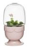 Sagaform Kvetináč s poklopom SAGAFORM Greenhouse, ružový svetlý