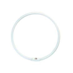 Fulgur YH 40W/4000K úsporná kruhová žiarivka, studená biela