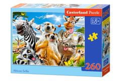 Castorland Puzzle Bláznivé zvieratká 260 dielikov
