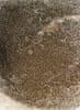 Kusový koberec Dizayn 2218 Beige 80x150