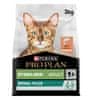 CAT STERILISED RENAL PLUS losos 3 kg