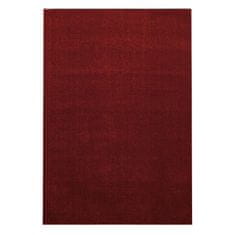 Ayyildiz AKCIA: 120x170 cm Kusový koberec Ata 7000 red 120x170