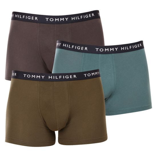 Tommy Hilfiger 3PACK pánske boxerky viacfarebné (UM0UM02203 0XX)