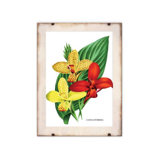 Vintage Posteria Poster na stenu Kvety 1957 A1 - 59,4x84,1 cm