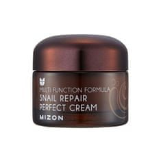 MIZON Pleťový krém s filtrátom hlemýždího sekrétu 60% pre problematickú pleť (Snail Repair Perfect Cream)