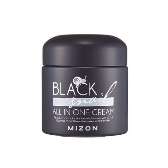MIZON Pleťový krém s filtrátom sekrétu Afrického čierneho slimáky 90% (Black Snail All In One Cream)