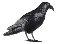 TORO Trojrozmerný model, Raven 40 cm