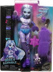 Monster High Bábika monsterka - Abbey HPD53