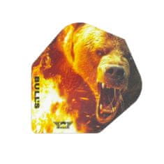 Letky Animal 100 - Bear - No6 - BU-50733