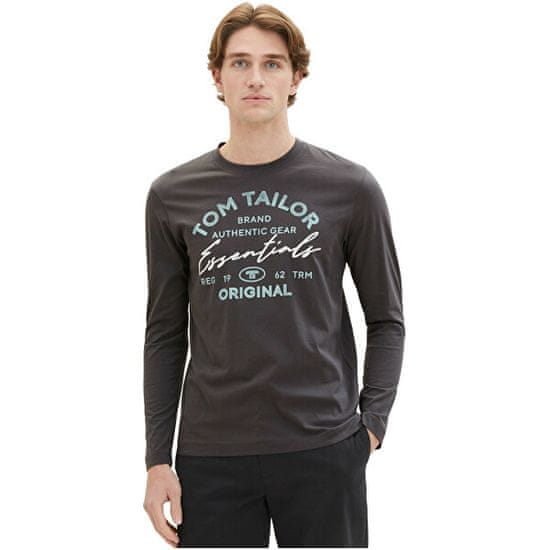 Tom Tailor Pánske tričko Regular Fit 1037744.10899