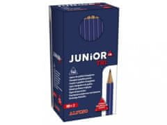 Alpino Veľké balenie ceruziek grafit Junior Tri 144 ks