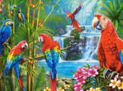 Castorland Puzzle Stretnutie papagájov 2000 dielikov