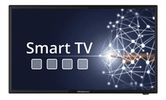 Megasat Megasat Camping LED TV Royal Line IV 19" SMART, 47cm (18,5"), Android 11.0
