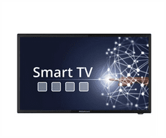 Megasat Megasat Camping TV Royal Line IV SMART 24", 60,5 cm (23,8"), Android 11.0