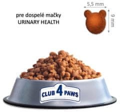 Club4Paws Premium pre dospelé mačky urinary health 14kg + 1x set Club4Paws s hovadzim mäsom 340g