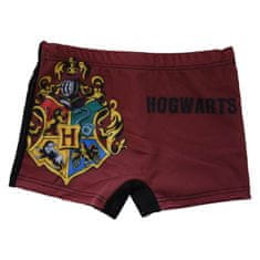 SETINO Chlapčenské plavky boxerky "Harry Potter" čierna 104 – 110 / 4–5 rokov Čierna