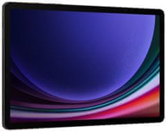 SAMSUNG Galaxy Tab S9, 8GB/128GB, Gray