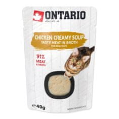 Ontario Polévka kuřecí se sýrem 40 g