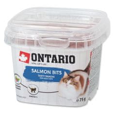 Ontario Pochoutka lososové polštářky 75 g