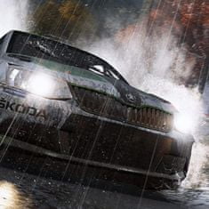 Nacon WRC 6 (PS4)