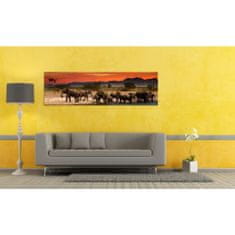 Falc Obraz na plátne Panoráma, Slony, 36x118cm