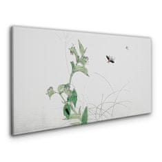 COLORAY.SK Obraz na plátne Ázijské hmyz listy 120x60 cm