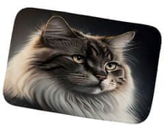 EXCELLENT Protišmyková podložka pre mačky 40x60 cm - Perzská mačka