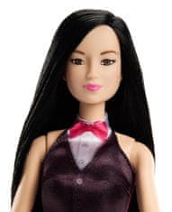 Mattel Barbie Prvé povolanie - Huslistka DVF50