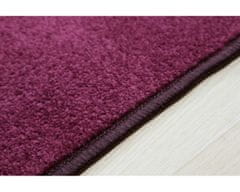 Vopi Kusový koberec Eton fialový ovál 50x80
