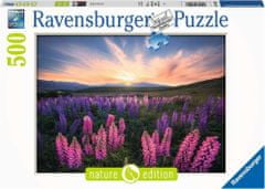Ravensburger Puzzle Vlčie bôby 500 dielikov