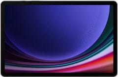 SAMSUNG Galaxy Tab S9, 8GB/128GB, Gray (SM-X710NZAAEUE)