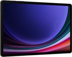 SAMSUNG Galaxy Tab S9+, 12GB/512GB, Gray (SM-X810NZAEEUE)